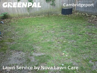 Lawn mowed in Cambridge, 2139