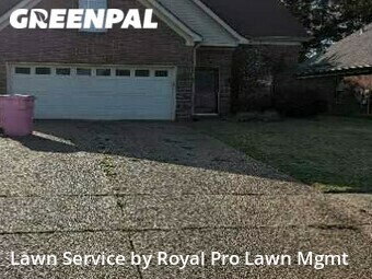 Lawn Mow nearby Olive Branch, MS, 