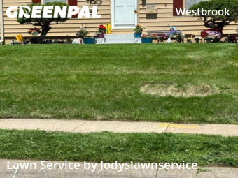 Lawn Care nearby Omaha, NE, 