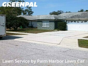 Lawn Mow nearby Palm Harbor, FL, 
