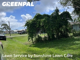 Lawn Mow nearby Port St. Lucie, FL, 