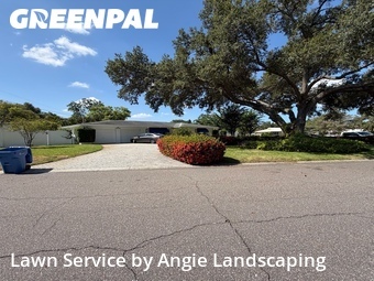 Lawn Mow nearby Clearwater, FL, 