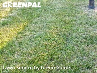 Lawn Care nearby Independence, MO, 