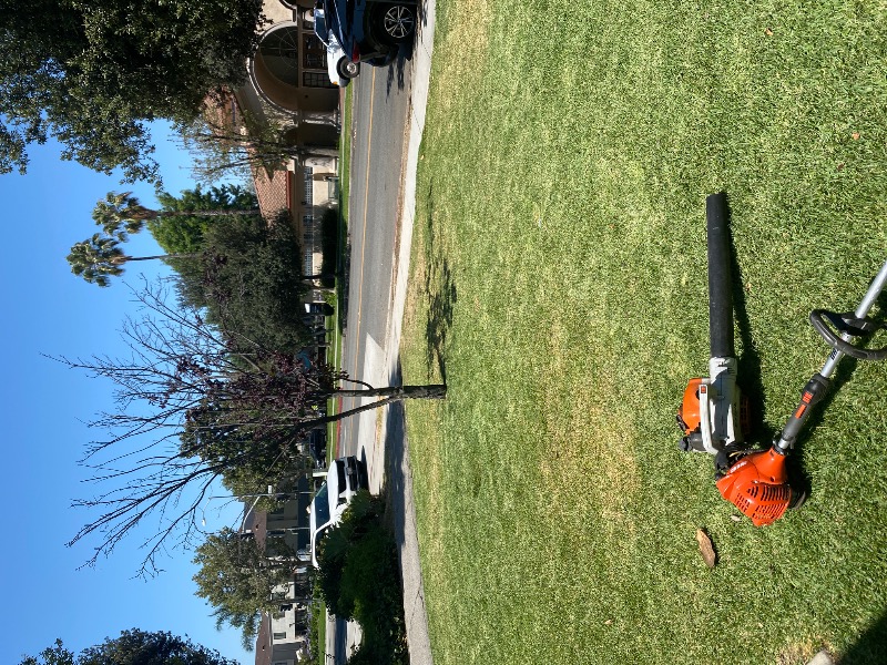 Lawn mowing work by Johny's Gardening in South Gate, CA