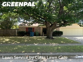Grass Cutting nearby The Colony, TX, 