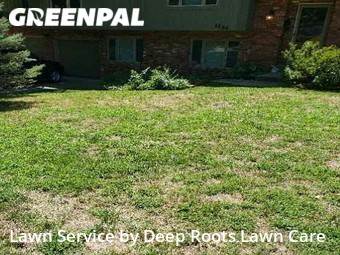 Grass Cut nearby Springfield, MO, 