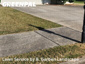 Grass Cut nearby スワニー, GA, 