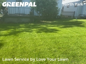 Grass Cut nearby Buffalo, NY, 