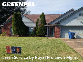 Lawn Mow nearby Horn Lake, MS, 