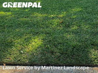 Lawn Work in Groveland, 34736, Lawn Work by Martinez Landscape, work completed in Nov , 2025