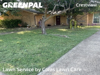 Yard Cutting nearby Frisco, TX, 