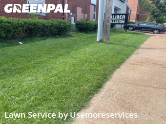 Lawn Cutting nearby St. Louis, MO, 