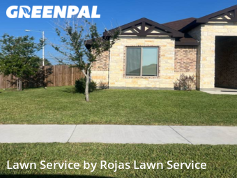 Grass Cut nearby Harlingen, TX, 
