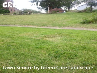 Lawn Mow nearby Chicago Heights, IN, 