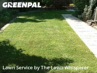 Lawn Mow nearby Gold River, CA, 