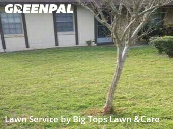 Lawn Care nearby Casselberry, FL, 