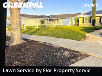 grass-care-professionals-in-Dublin-CA