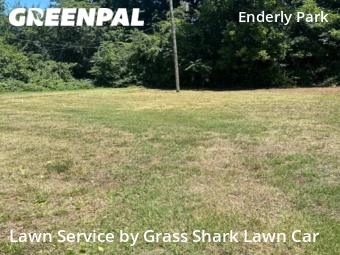 Yard Cutting nearby Charlotte, NC, 