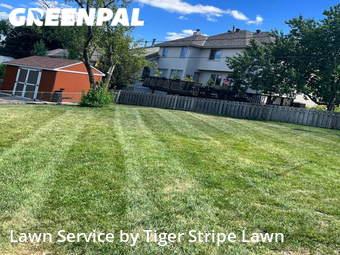 Lawn Cutting nearby Omaha, NE, 