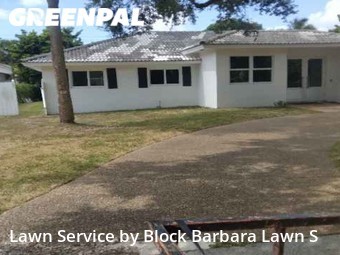 Grass Cutting nearby Boca Raton, FL, 