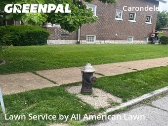 Yard Mowing nearby St. Louis, MO, 