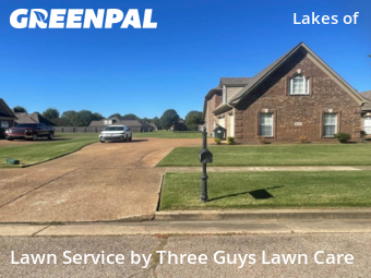 Yard Management in Collierville, 38017, Yard Work by Three Guys Lawn Care, work completed in Nov , 2025