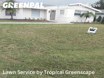 Grass Cutting nearby Port Charlotte, FL, 