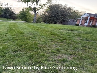 Yard Mowingin Franklin,37069,Yard Mowing by Elite Gardening , work completed in Jun , 2026