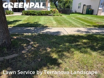 Lawn Care in Romeoville, 60446, Turf Services by Terranova Landscape, work completed in Nov , 2025