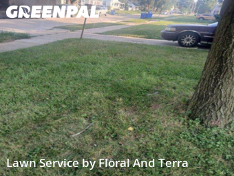 Lawn Mowing Service nearby Warren, MI, 