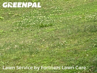 Lawn Maintenance nearby Fultondale, AL, 