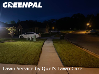 Lawn Cut nearby Gonzales, LA, 