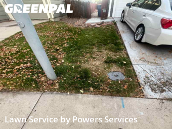 Grass Cuttingin Thornton,80229,Lawn Cutting by Powers Services, work completed in Nov , 2025