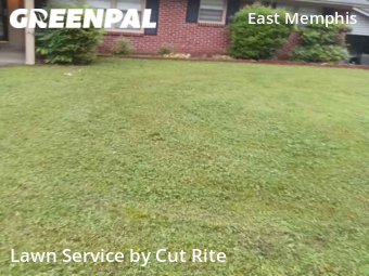 Lawn Maintenance nearby Memphis, AR, 