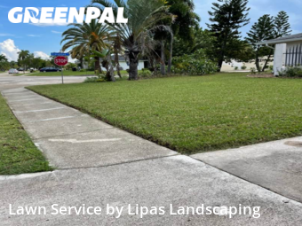 Lawn Cut nearby Fort Myers, FL, 
