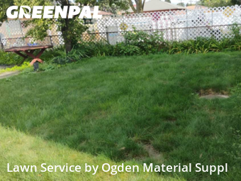 Grass Cut nearby Berwyn, IL, 