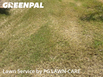 Lawn Service nearby Snellville, GA, 