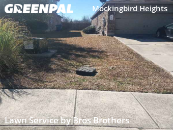 Lawn Maintenance nearby New Braunfels, TX, 