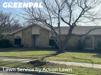 Lawn mowed in Garland, 75043