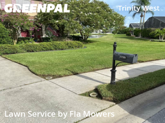 Lawn Service nearby Trinity, FL, 