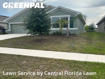 Grass Cut nearby Winter Haven, FL, 