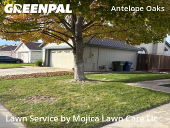 cheap-lawn-cutting-businesses-in-Sacramento-CA