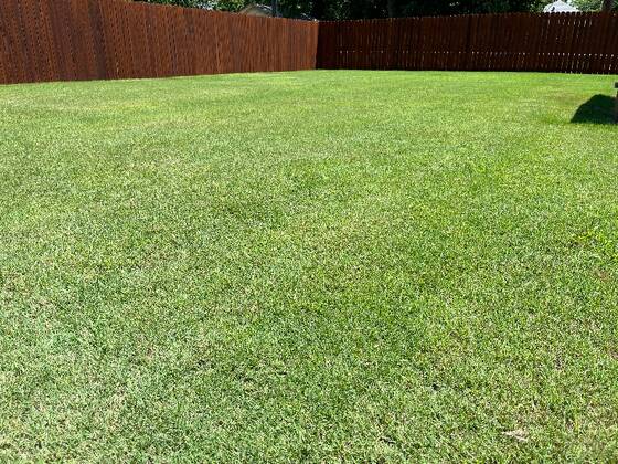 Burt's Lawn Care Lawn Care Services in Abilene, TX