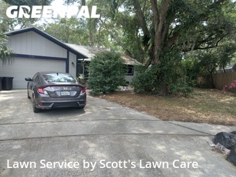 Yard Mowing nearby Palm Harbor, FL, 