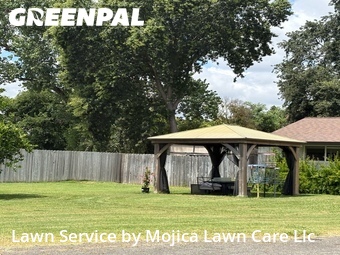 Work completed by reliable-lawn-care-service-in in Carmichael, CA