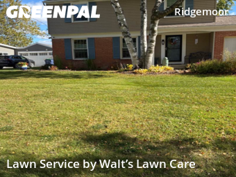 Lawn Mow nearby Grand Rapids, MI, 