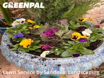 Lawn Care Service nearby Lubbock, TX, 