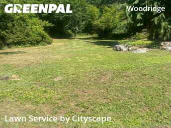 Yard Mowing nearby Bellevue, WA, 
