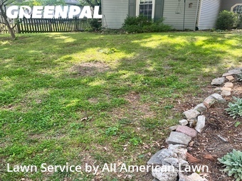 Lawn Mow nearby Webster Groves, MO, 