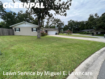 Grass Cut nearby Orlando, FL, 